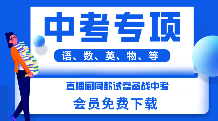 中考专项